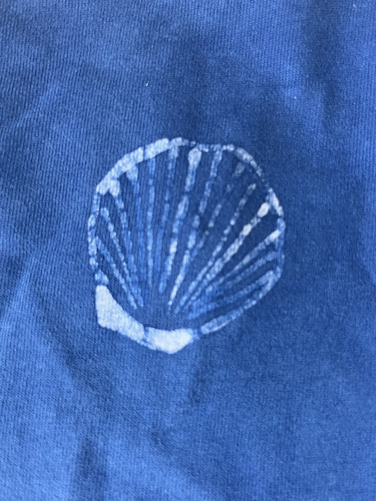 Batch 002 - Batik Shells